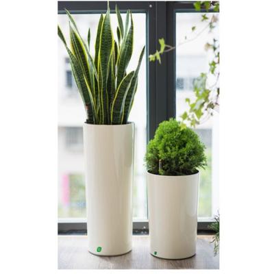 China clear and wedding plastic flower planting pots for sale