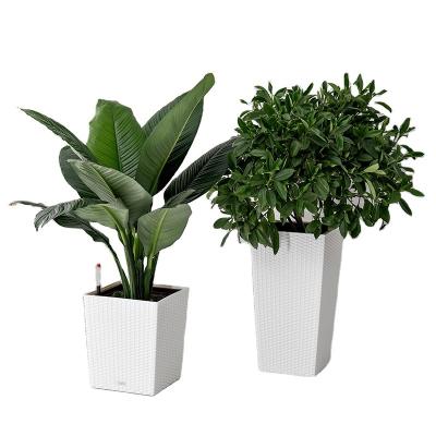 China factory rattan plastic flowerpots for home & garden for sale