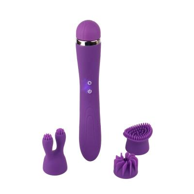 China Silicone + Modern Simplicity ABS Vibration Sensor Handheld Female Masturbation AV Rod Vibrator for sale