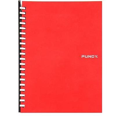 China Hot Wholesale Cheap Spiral School Student A5 A6 Spiral Notebook for sale