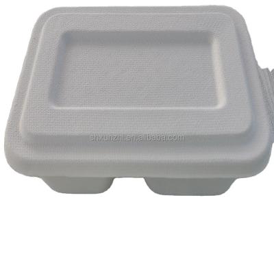 China 100% Disposable Wholesale Eco Friendly Biodegradable Take Away Bagasse Food Container Sugarcane Fiber Pulp Lunch Boxes With Clear Lids for sale