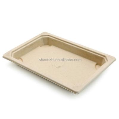 China Promotion 15%off Disposable Biodegradable Sugar Cane Tray With Sauce Compartment Compostable Sugarcane Bagasse Rect Food Tray for sale