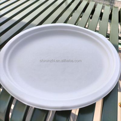 China Eco-Friendly Disposable Tableware for Restaurant Biodegradable Sugarcane Bagasse Pulp Dishes for sale