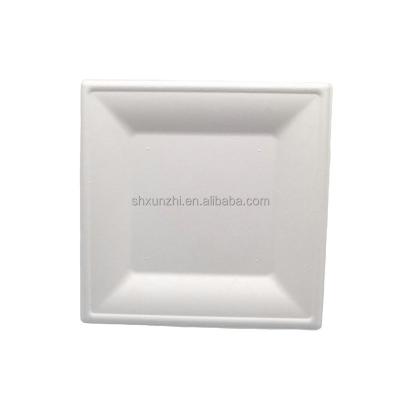 China Eco-Friendly Biodegradable Disposable Bagasse Sugar Cane Compostable Square Paper Plates Eco Friendly Sugar Cane for sale