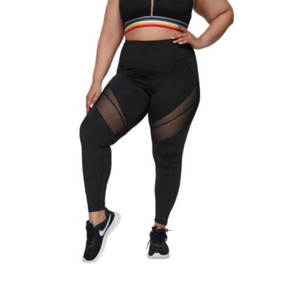 China Hot sale breathable mesh spandex top plus size sexy women black yoga leggings for workout for sale