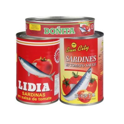 China Canned canned sardines in tomato sauce for sale