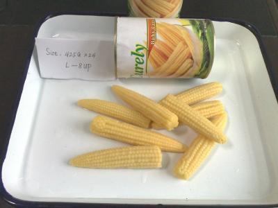 China 340g canned baby corn in glass jar for sale