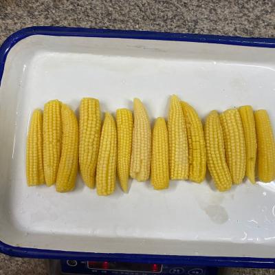 China High Quality Tinned Whole Fresh Canned Baby Corn/Cup 425g for sale