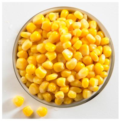 China China export canned canned kernel corn/sweet types of canned corn/canned corn for sale