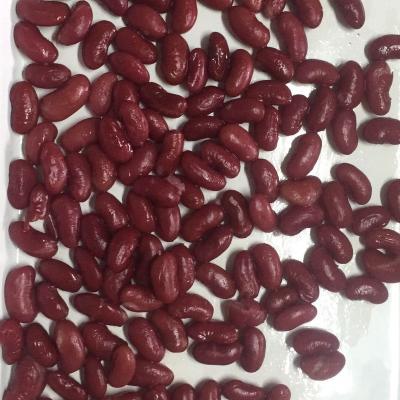 China Canned Kidney Kidney Beans in Brine 400g/200g for sale