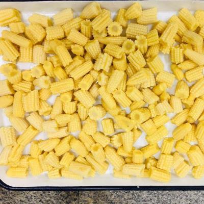 China NEW CANNED FRESH BABY CORN 425G &2840G CUT IN ITEMS for sale