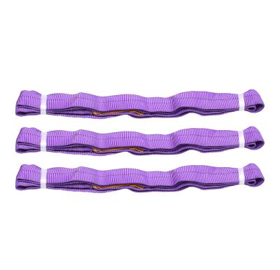 China 1ton Violet Endless Rigging Round Lifting Polyester Sling Endless for sale