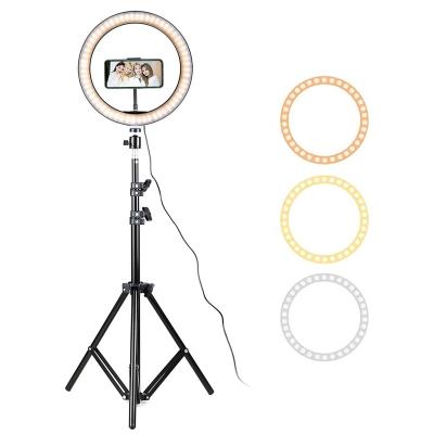 China YouTube/Visual/Live/Makeup/Photography/Thumb LED Selfie Ring Light, 1.6m Tripod Stand Youtube Video Makeup Studio Tik Tok Lumiere Photo Anillos De Luz 10 Photographic Lamp for sale