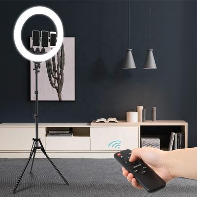 China YouTube/Visual/Live/Makeup/Photography/Inch 2M Tripod Professional Selfie LED Ring Light, 100W Dimmable Photography Tik Tok 22 Remote Control Lamp for Live Photo Video for sale