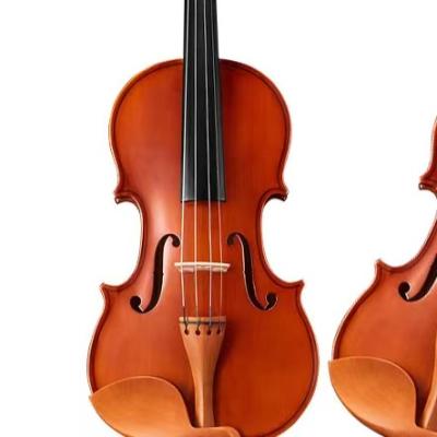 China Normal Student Beginner White Pine Violin 4/4 for sale