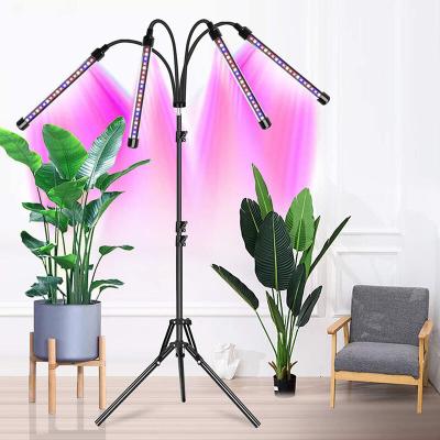 China Plant Growing 1-5 Head LED Grow Light USB Phyto Lamp For Indoor Flower Plants Seeds for sale