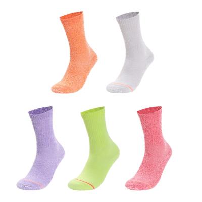 China Breathable Colorful Unisex Embroidery Custom Logo Crew Socks Knitted Designer Cotton Yoga Fitness Athletic Sport Crew Workout Socks for sale