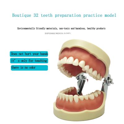 China Dental Dental Oral Dental Standard Restoration Study Training Tooth Model Exercises 200h With 32PCS Teeth for sale