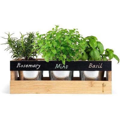 China Modern Farmhouse Kitchen Window Planter Box - Succulent, Flower and Herb Garden - Indoor and Outdoor - Includes Rectangle Bamboo Wood Plant for sale