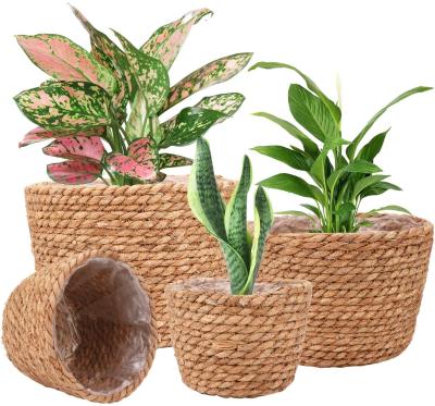 China Wholesale Modern Plant Plankton Belly Basket Top Quality Plant Plankton Woven Basket Made in China for sale