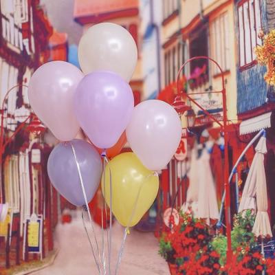 China Professional Wholesale Indoor Outdoor Globos Decoration Balloons 50pieces 18inch Birthday Party Decoration Balloon Balloons Latex Macaron Balloons for sale