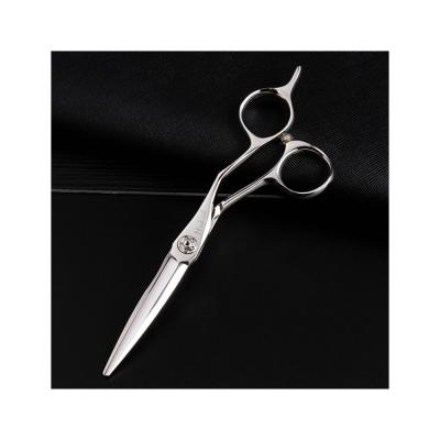 China Professional Hairdressing Scissors Hair Cutting Scissors Straight 5.5 Inch Hair Cutting Scissors For Beauty for sale