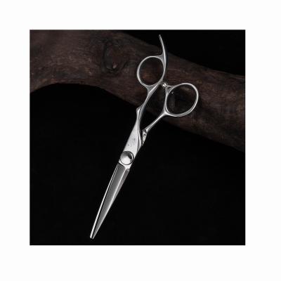 China Right Handed Scissors 25 Years High Grade Chinese Steel Hot Sale Barber Cutting Hair Shears Of External Screw for sale