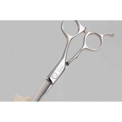 China Right Handed Scissors Ball Bearing Screw Stainless Steel Hair Shears for sale