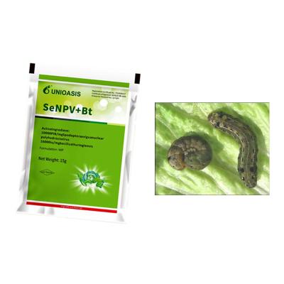 China Long Lasting Effect Pesticide SeNPV Bt Farmland Planting Vegetable Field Pest Killing for sale