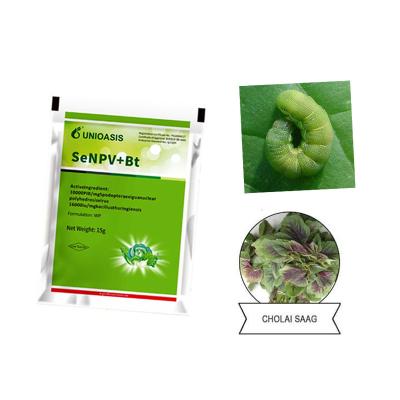 China Organic Pesticide WP Natural Insecticide Nuclear Polyhedrosis Virus SeNPV Good Effect on Cabbage Worm for sale