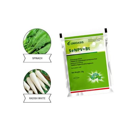 China Effective Pesticide for Cabbage Worms Caterpillars 100% Natural Safe Organic Product for sale