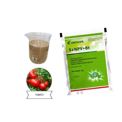 China Cruciferous Vegetables Spodoptera Exigua Spodoptera Litura Killing Biopesticde Plant Insecticide for sale