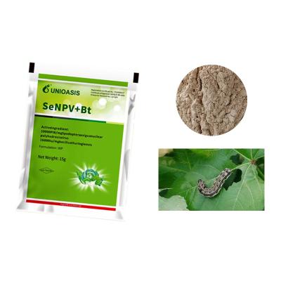 China Powder Spray Organic Pest Killer 10000 PIB/Mg SeNPV SeNPV Virus Extract for sale