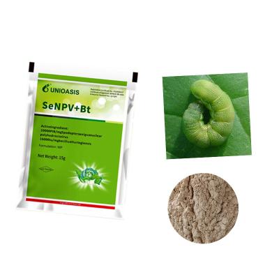 China Eco Friendly Brassicaceous Vegetable Organic Insecticide SeNPV Powder Spray Broccoli Chinese Cabbage for sale