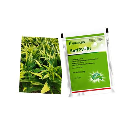 China Vegetable Protection Environmentally Friendly Safe Insecticide for Safeguarding Crops for sale