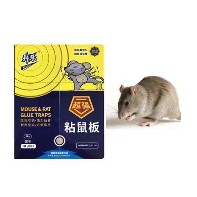 China Adhesive Rat Glue Bait Insecticide Building Grade Hard Board Mice Killer for sale