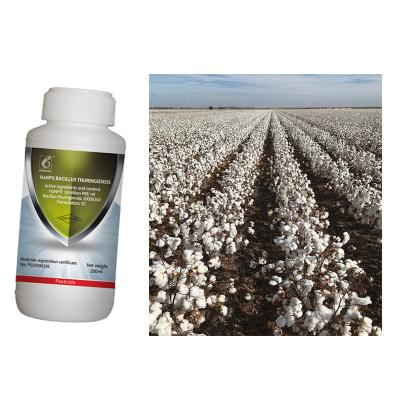 China Spray HaNPV Pure Biological Preparation 10 Million PIB/ML 2000IU/ML Bt Kill Cotton Bollworm for sale