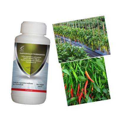 China Agriculture Bio Pesticide Cotton Bollworm Control Unioasis HaNPV Bacillus Thuringiensis for sale