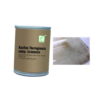 Κίνα WL20100260 Mosquito Larvae Killer Anti Mosquitoes Powder Bacillus Thuringiensis subsp προς πώληση