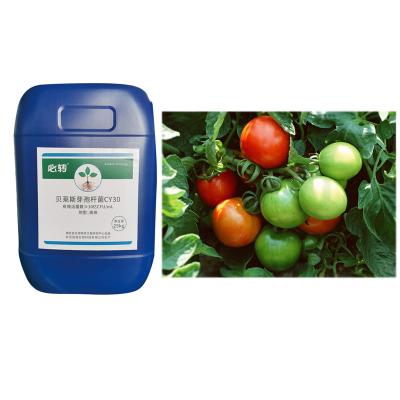 China Functional Bacterium Bacillus Velezensis CY30 Fertilizer Improve Soil Microbial Flora Tea Plants Melon Strawberry for sale