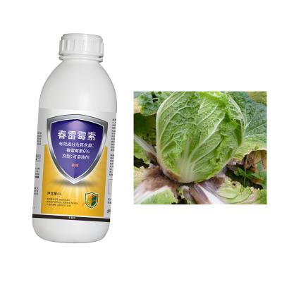 China Kasugamycin 6% Broad Spectrum Fungal Disease Control Soluble Concentrate for sale