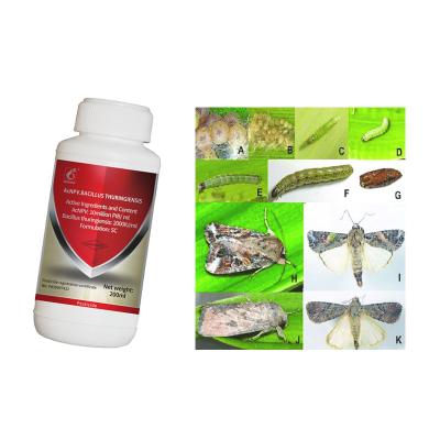 China Effective Fall Armywrom Control Active Pests fall armyworm spodoptera frugiperda with 2 Years Shelf Life for sale