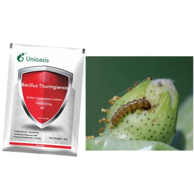 China Bacterial Bacillus Thuringiensis Tea Tree Insecticide For Killing Nematode Lepidoptera for sale