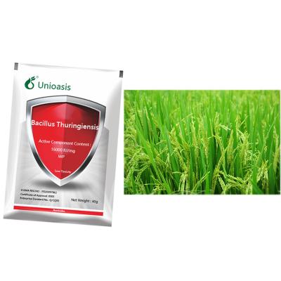 China Safe Insecticide Spray 16000 IU/Mg BT WP Kill Rice Tobacco Corn Cotton Pests No Residue for sale