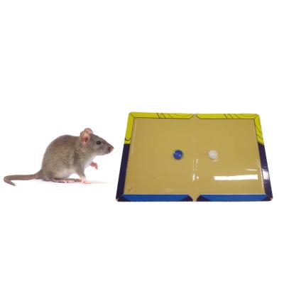 中国 Non Toxic Harmless Super Sticky Mouse Trap Board Catch Rat Home Kitchen Restaurant 販売のため