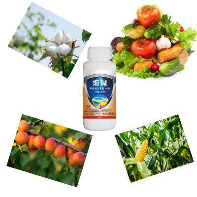 China Insect Biocides 10% Nicotine AS Aphid Spray For Vegetables Cabbage for sale