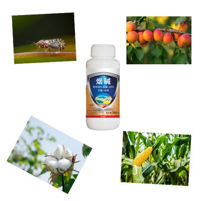 China Natural 10% Nicotine AS Cabbage Cotton Crop Pesticides Aphids Planthopper Control for sale