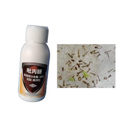 China as larvas do assassino dos ovos do mosquito do SC de 200ml 10% Pyriproxyfen inibem o desenvolvimento do embrião à venda