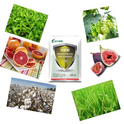 China 50% Pymetrozine WP Control Fruit And Vegetable Insecticide For Borer for sale