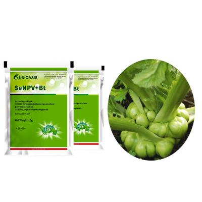 China Organic Biological Insecticides WP Natural Pesticide Powder Nuclear Polyhedrosis Virus SeNPV Effect on Cabbage Worm for sale